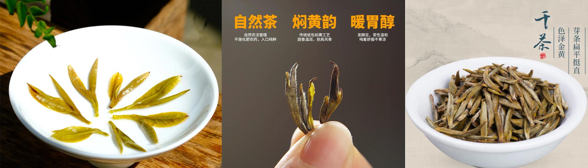 茶叶品类