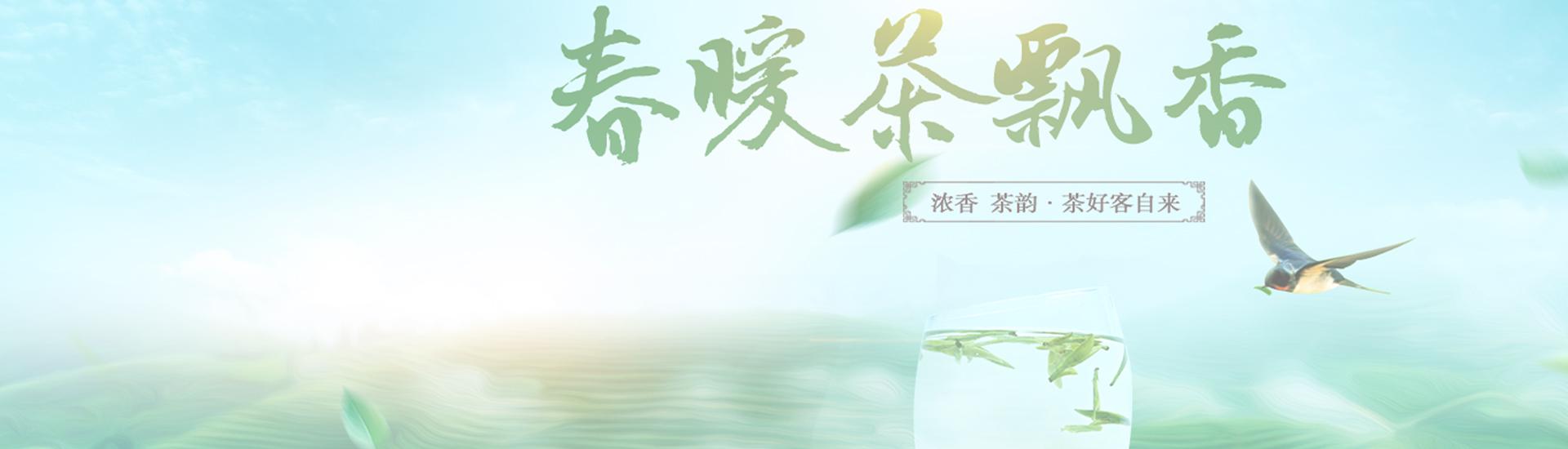 联系我们